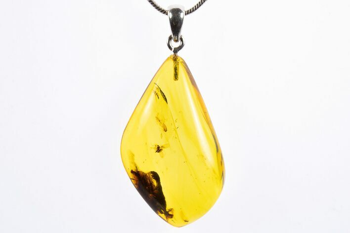 Polished Baltic Amber Pendant (Necklace) - Contains Two Flies! #322018